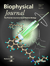 BIOPHYSICAL JOURNAL雜志封面